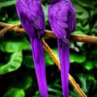 Vibrant Purple Fantastical Birds Perched in Lush Greenery