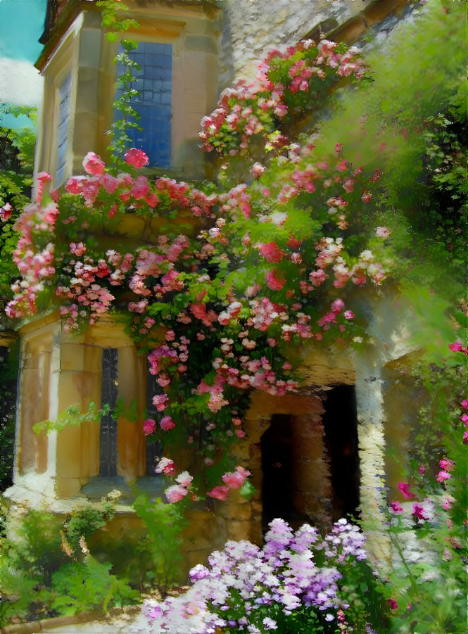 Flowers in the windows