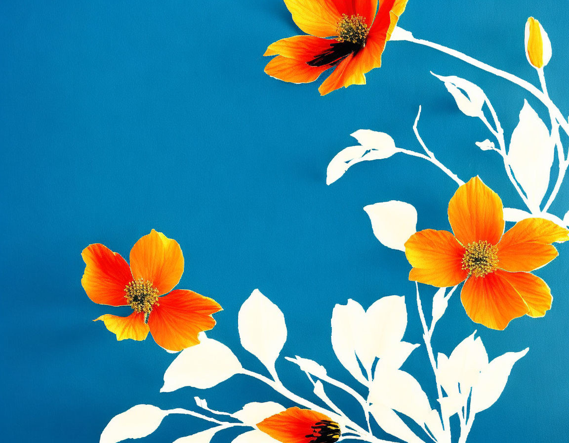 Orange Flowers with White Silhouetted Leaves on Blue Background