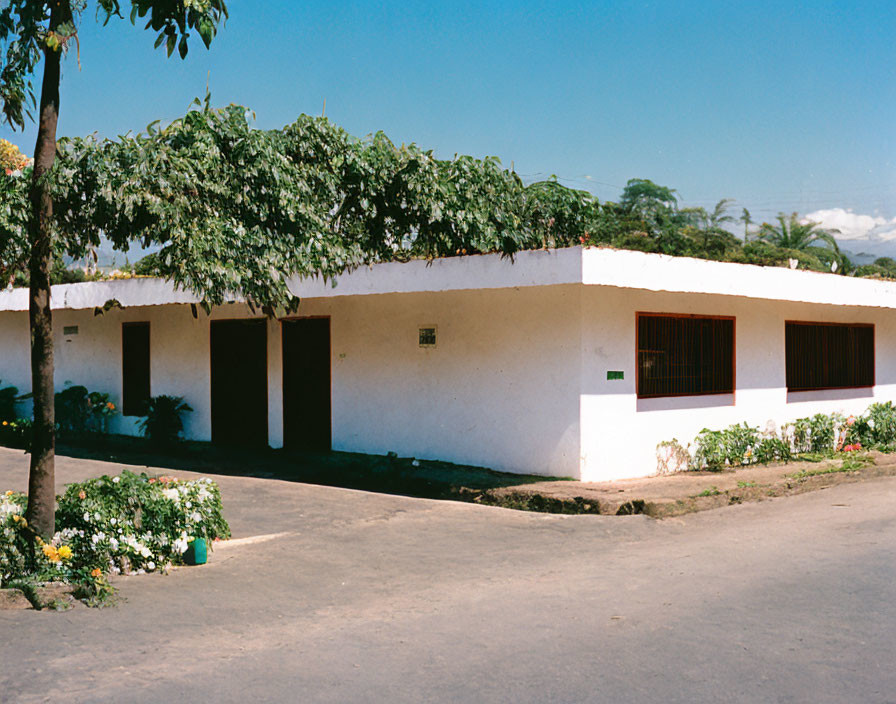 Single-story white building with red-tiled roof and green door under blue sky