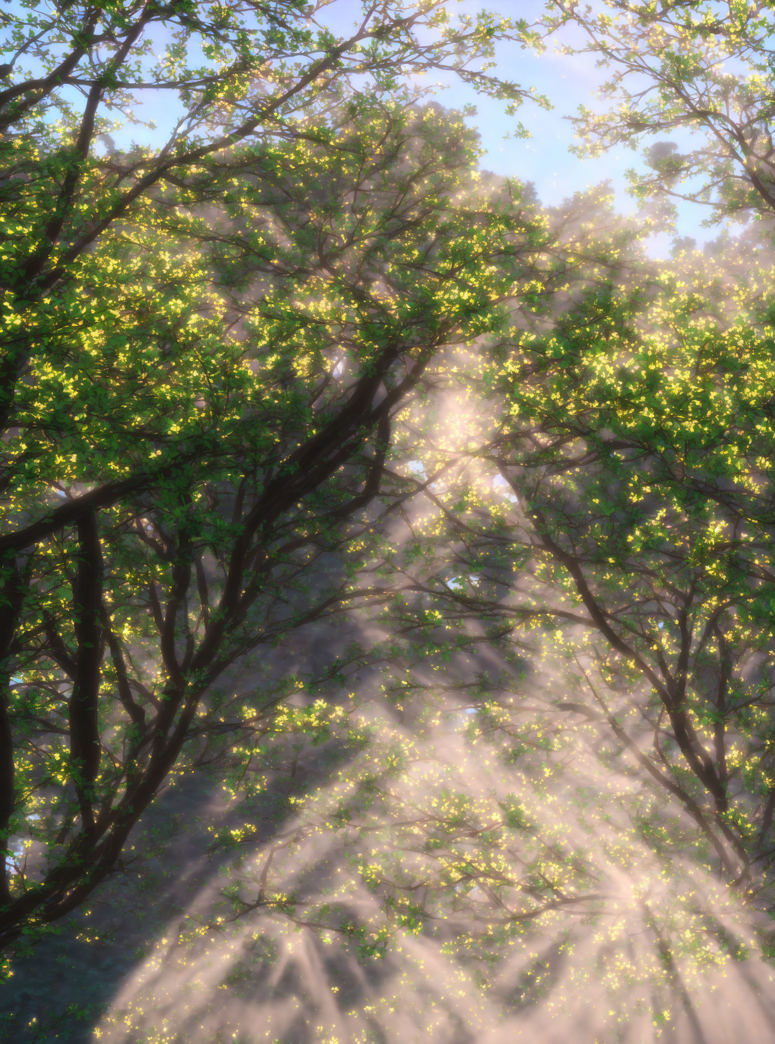 Forest scene: Sunlight through trees with mist or smoke