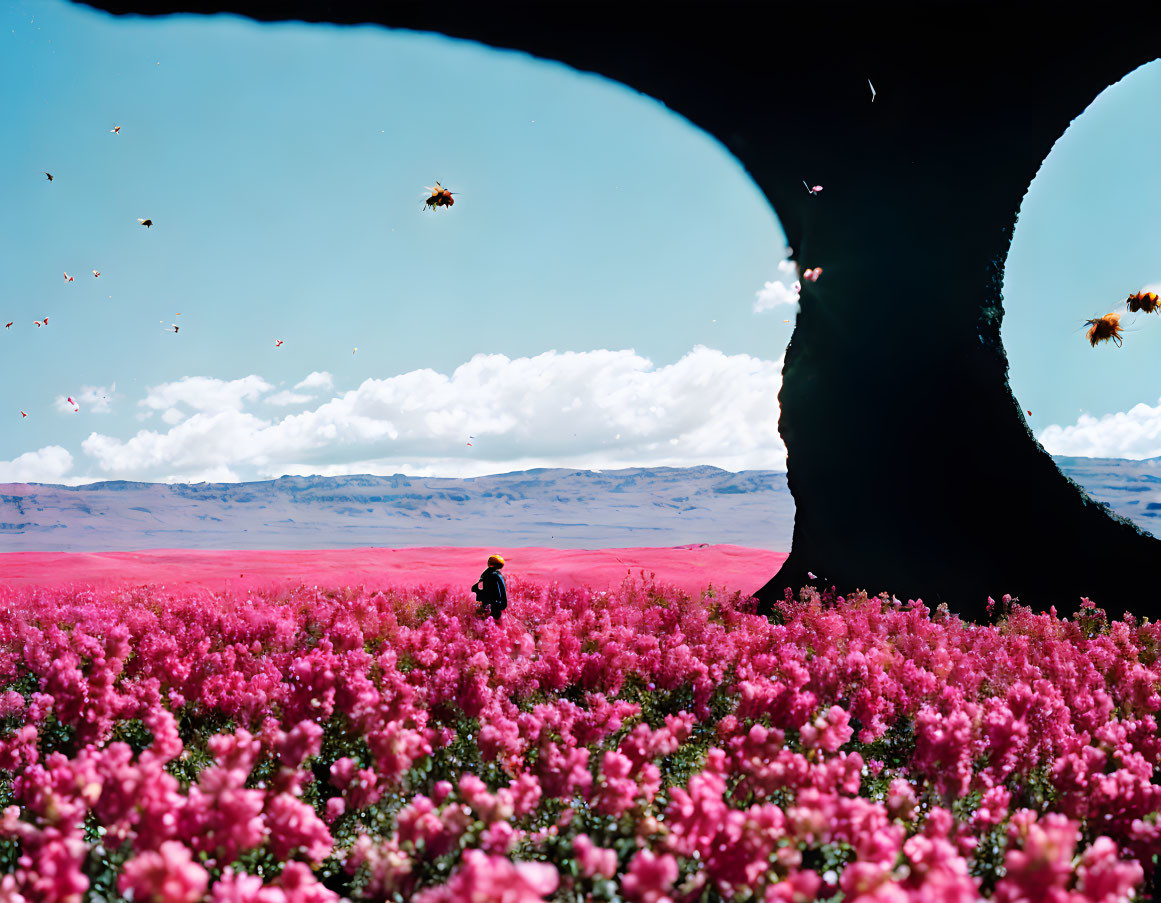 Silhouette of person under large tree in pink flower field with blue skies.