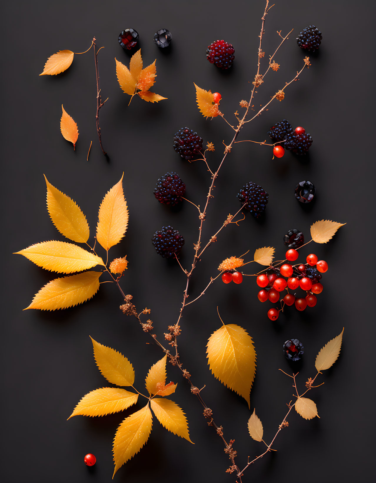 Yellow Leaves, Twigs, and Berries in Autumnal Arrangement