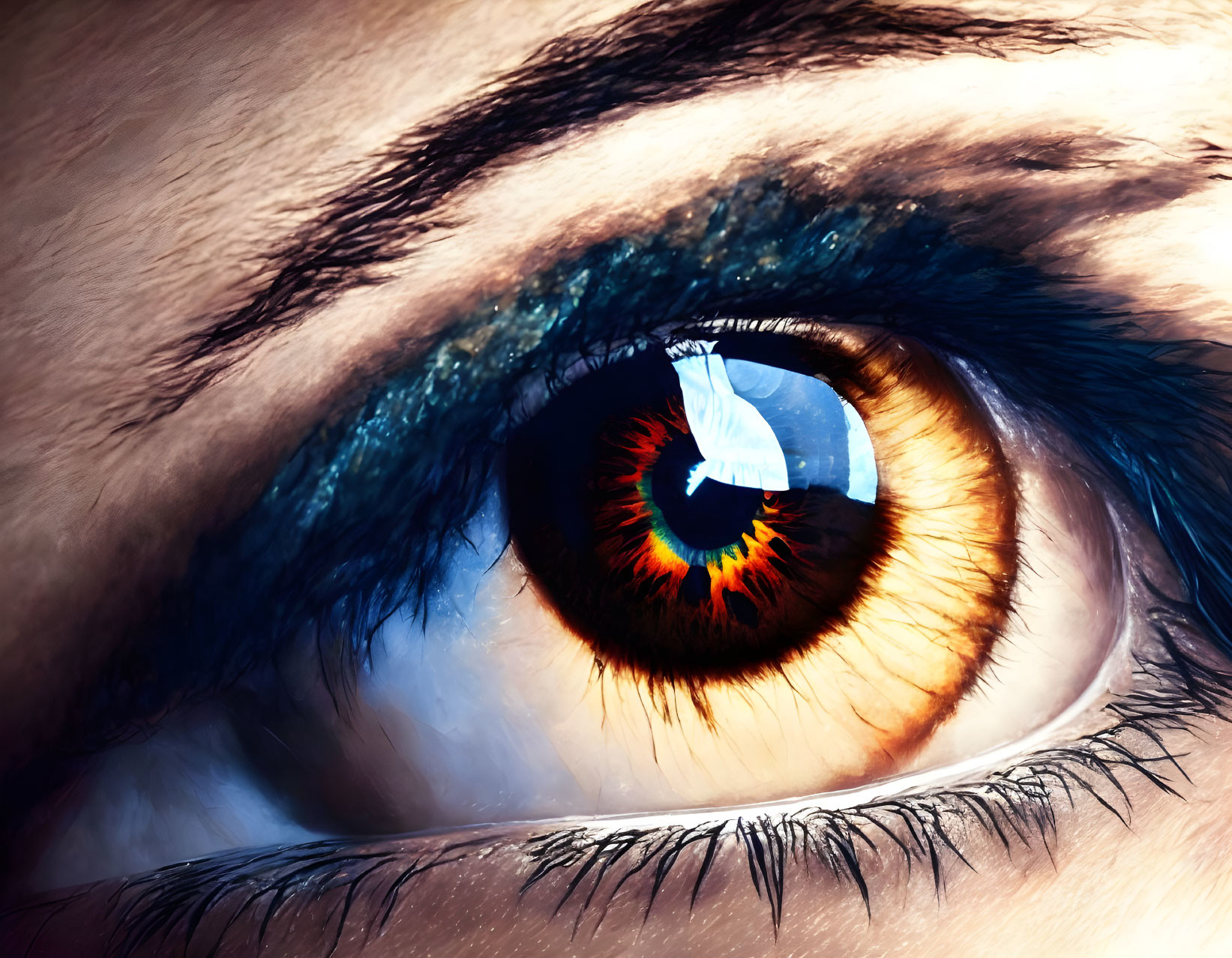 Detailed view of brown human eye with dark eyelashes and reflected light