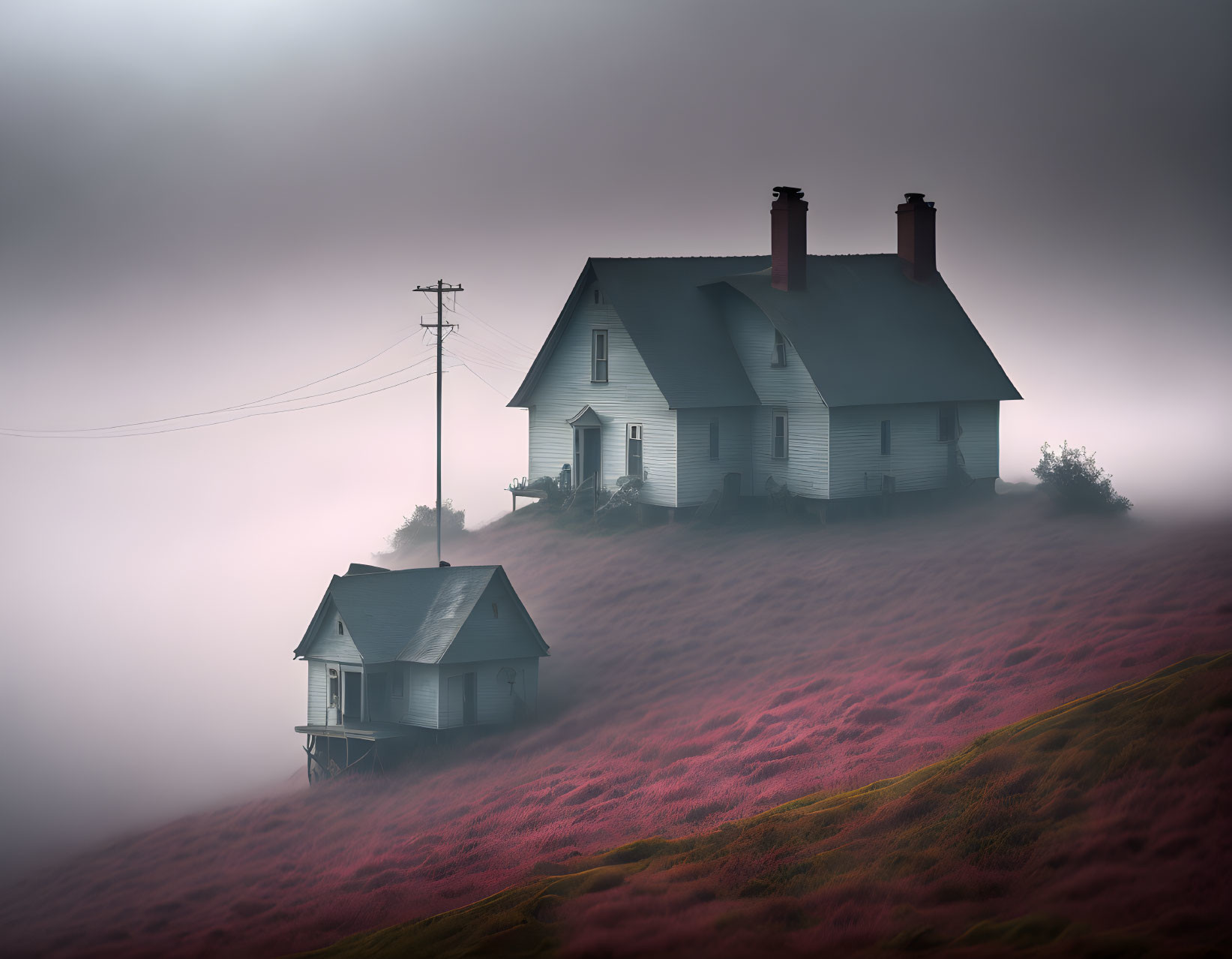 Misty hill scene: Two houses, pink grass, power lines