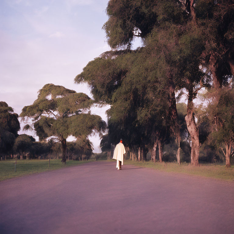 Solitary Figure in Cape Walking on Tree-Lined Road