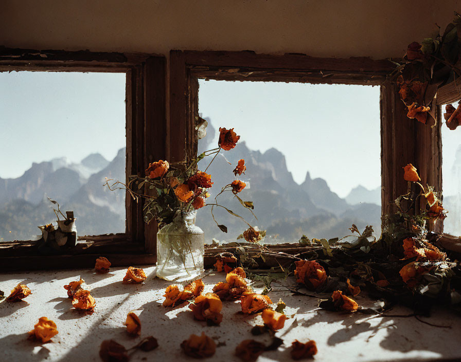 Wooden window frames mountain peaks, orange flowers, and dusty vase in warm sunlight