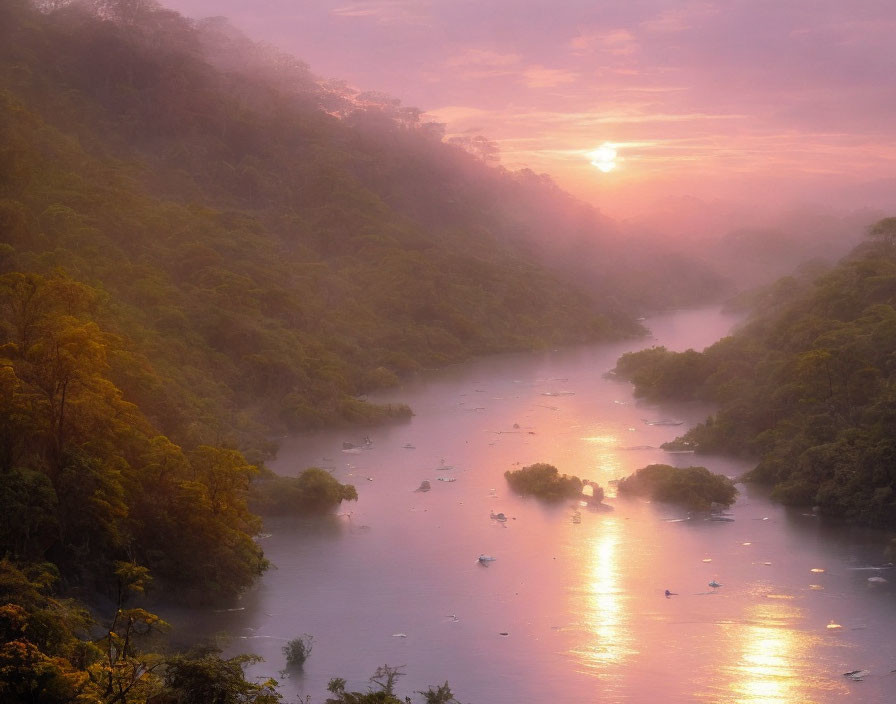 Serene sunrise over misty river in lush forest