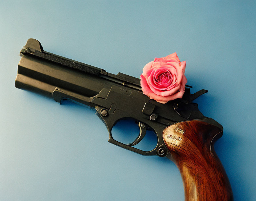 Black Handgun with Wooden Grip and Pink Rose on Blue Surface