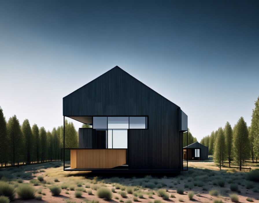 Contemporary black house with big windows in pine forest at dusk