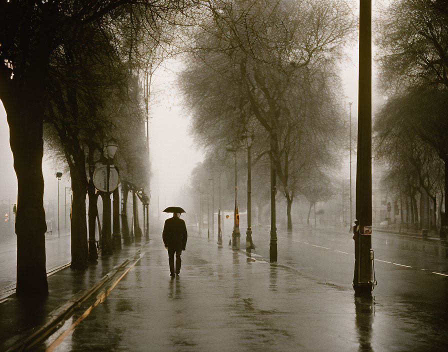 Person with umbrella walking on misty, lamp-lit street in rain