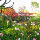 Colorful Flower Garden with Lush Greenery and Tall Trees