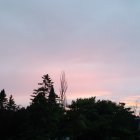 Majestic castle in twilight with gardens, pink clouds, crescent moon, and serene lake