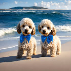 Cream-Colored Dogs with Blue Bows on Sandy Beach