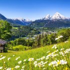 Idyllic village scene with greenery, cottages, gazebo, and flowers