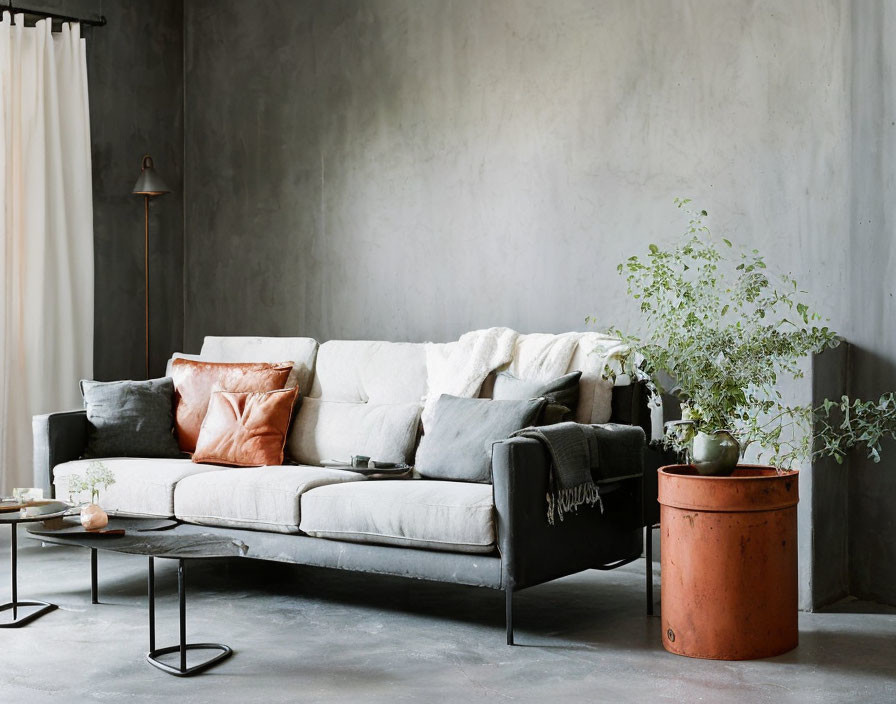 Minimalist Gray Living Room with Sofa, Coffee Table, Plant, and Textured Walls