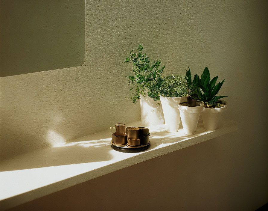 Natural light casting shadows on window sill with plants and containers