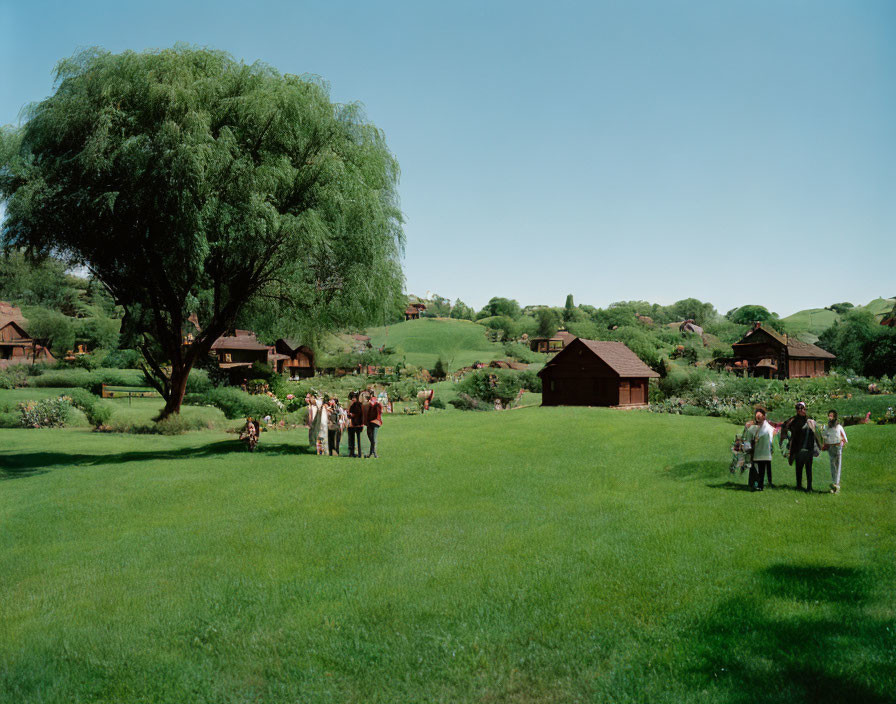 Lush green valley with wooden structures, people, and willow tree