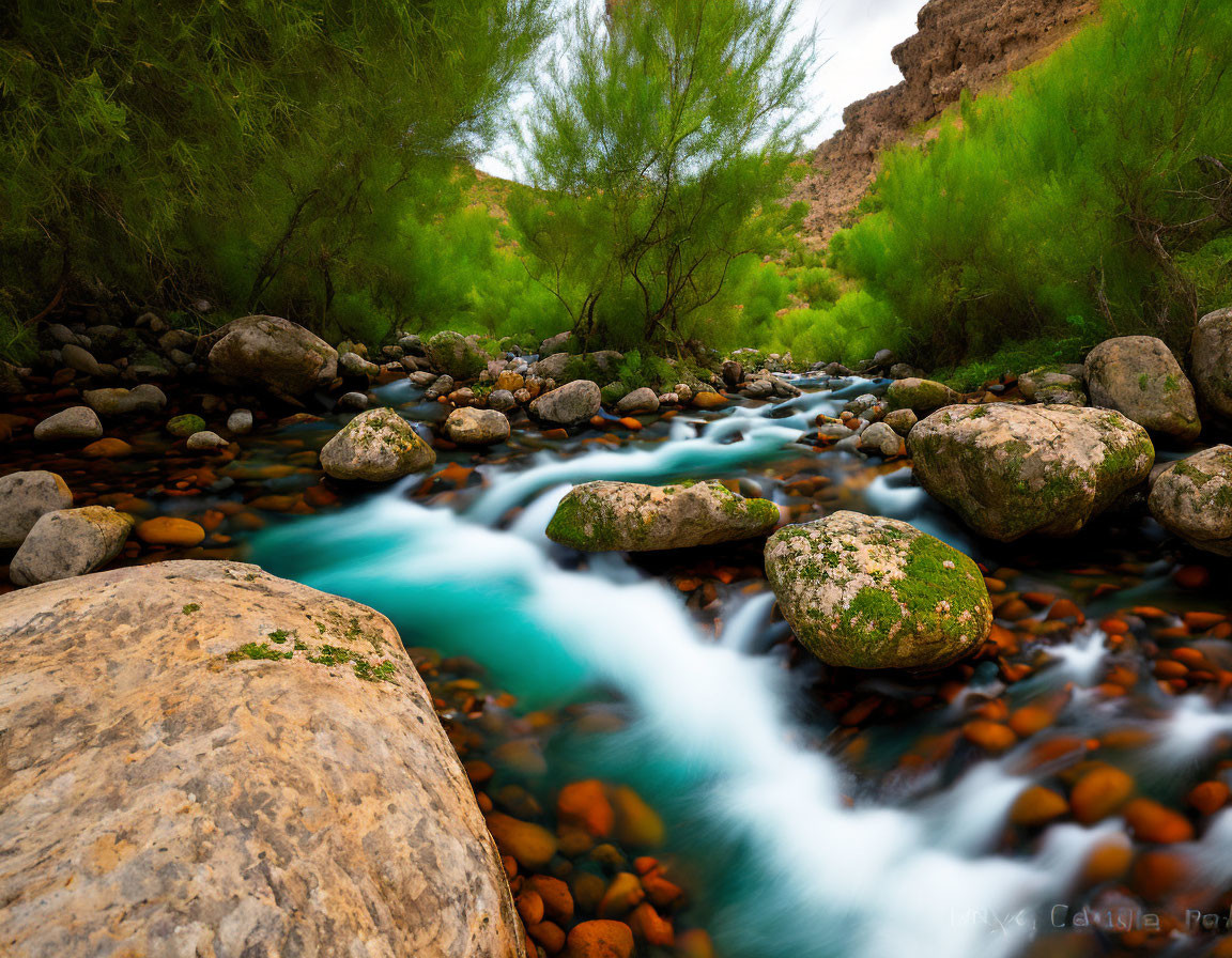 Tranquil river with turquoise waters, mossy rocks, and lush green trees