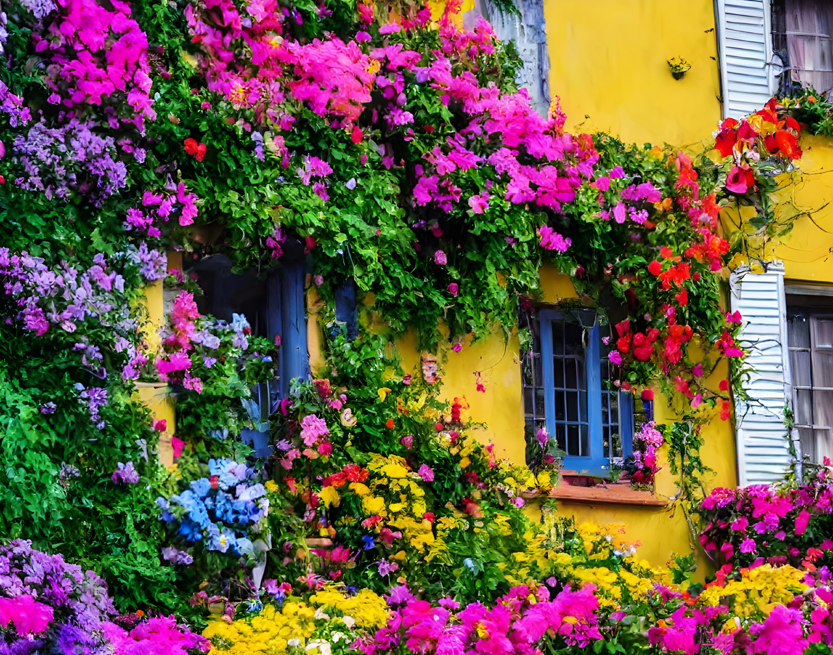 Colorful Flowers Surround Yellow House with Windows