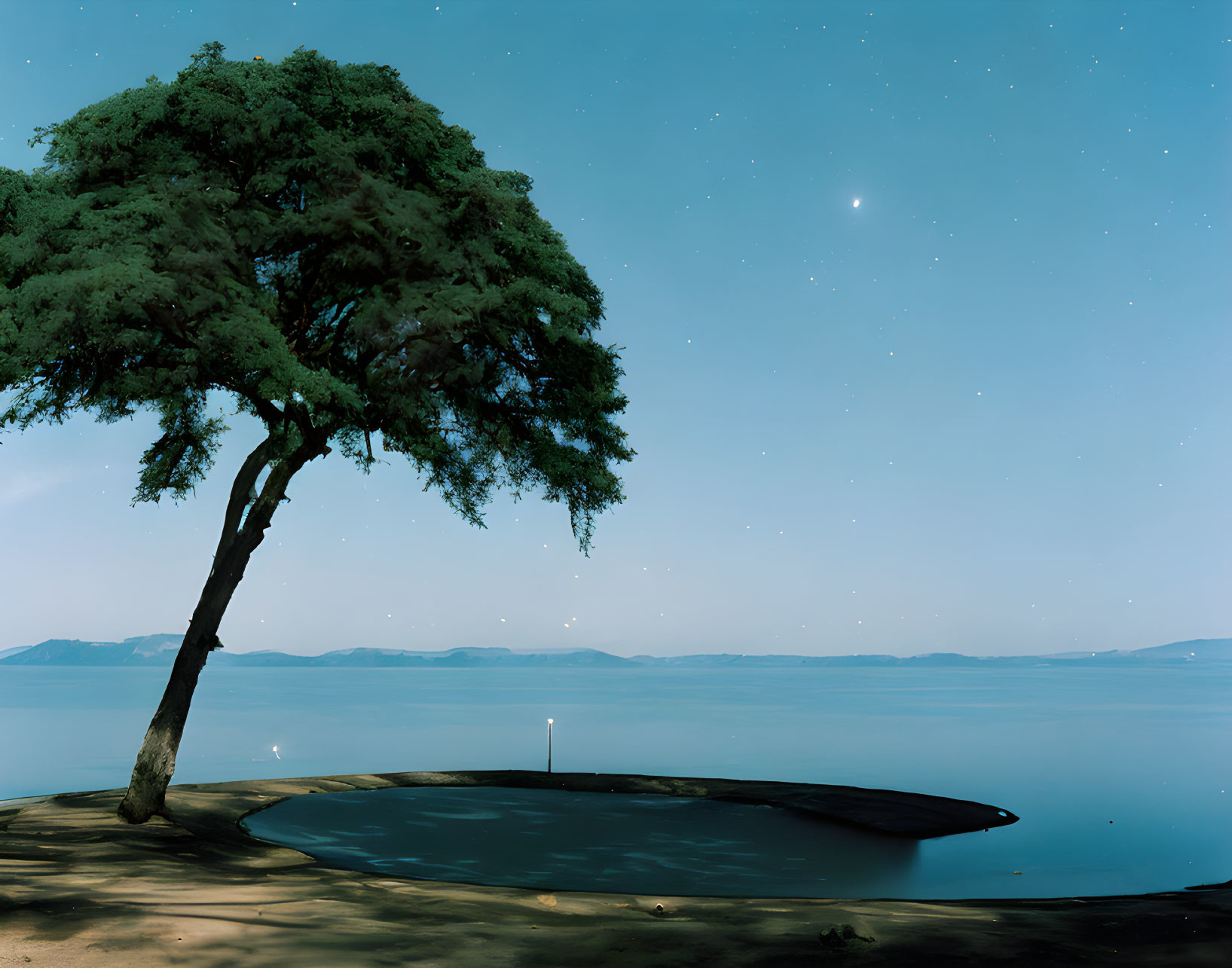 Tranquil night landscape with tree, water, and starry sky