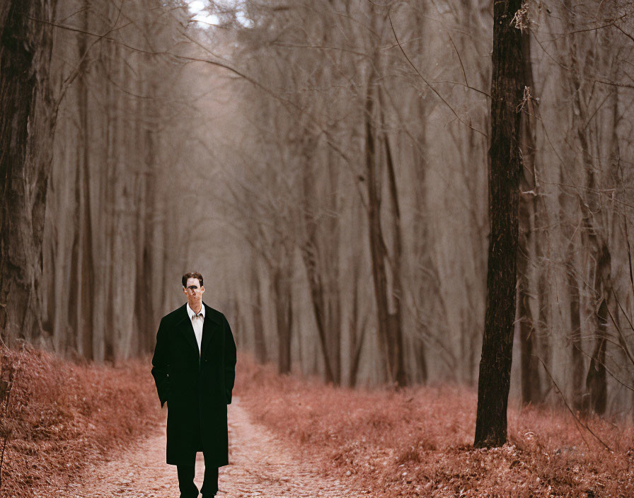 Man in Dark Coat Standing on Forest Path with Bare Trees