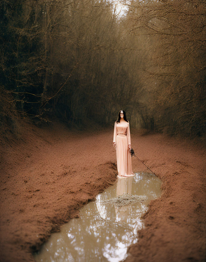 Woman in Pink Dress with Umbrella on Forest Path among Bare Trees