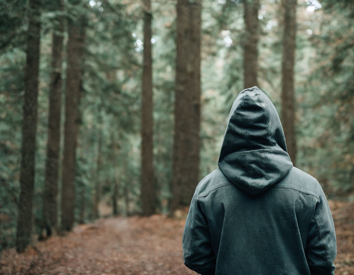 Person in Hooded Jacket Standing on Forest Path Surrounded by Tall Trees