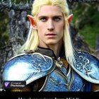 Fantasy art: Long blond hair, pointed ears, medieval armor with leaf-like designs.