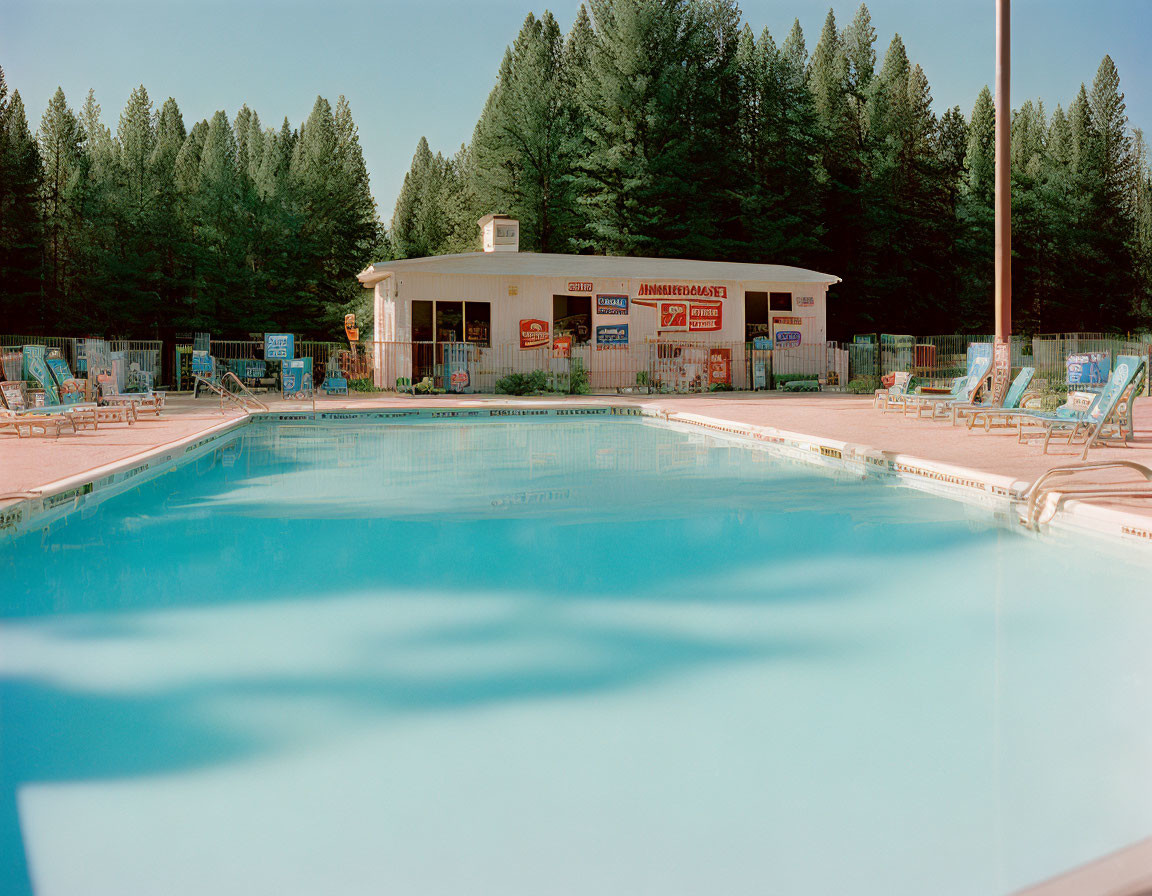 Tranquil Outdoor Pool with Clear Blue Water and Pine Trees