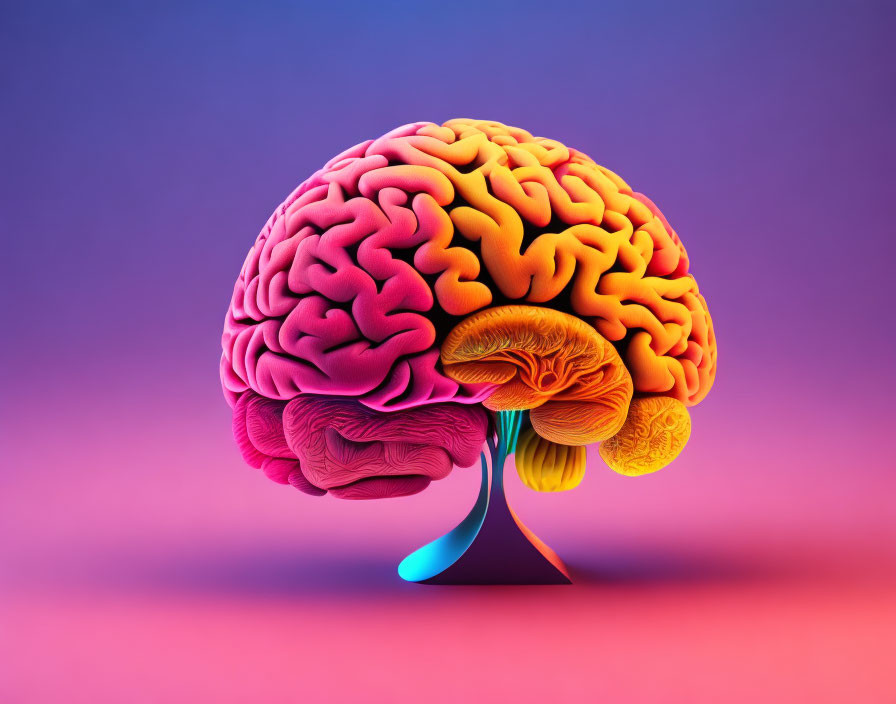 Vibrant Human Brain Illustration in Pink, Orange, and Yellow Hues