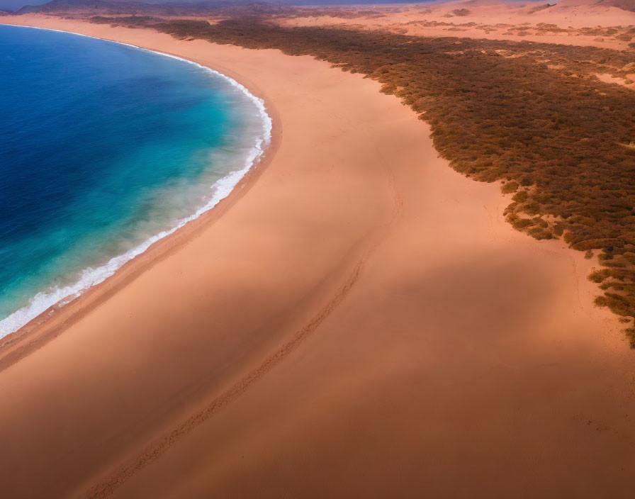 Aerial View of Sandy Beach and Dune-Covered Coastline