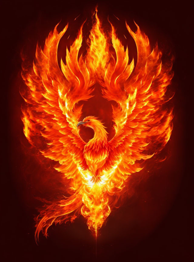 Colorful Phoenix Illustration Symbolizing Rebirth and Power