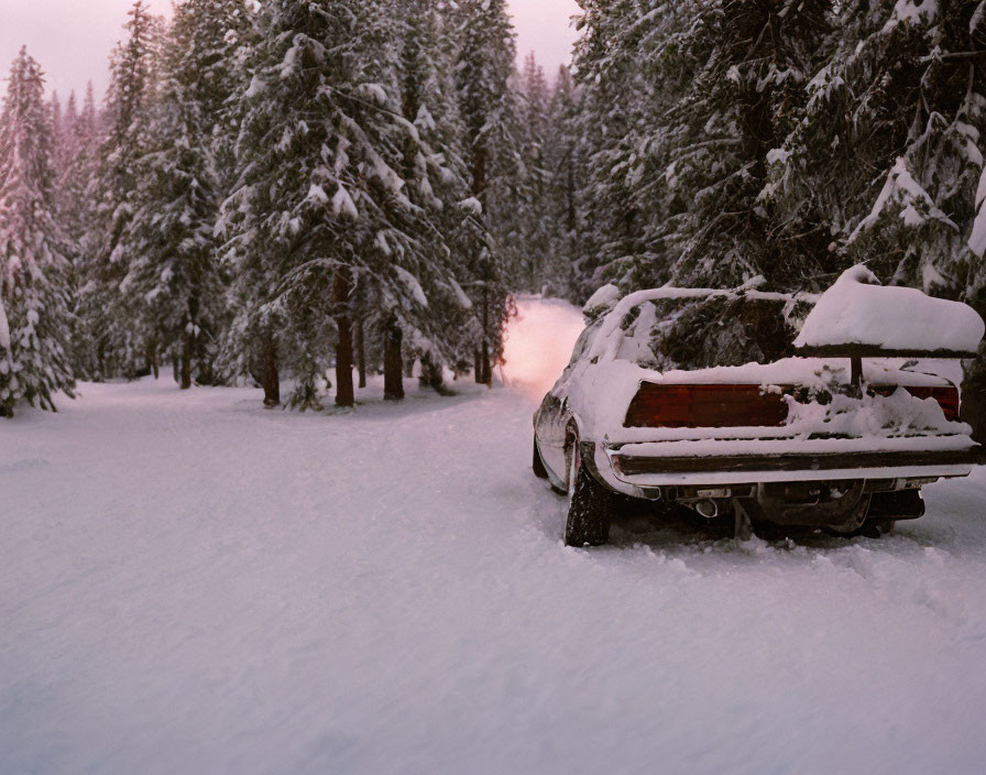 Snow-covered abandoned car in twilight forest with snow-laden pine trees