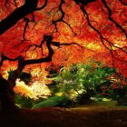 Scenic autumn landscape with red and orange leaves, lake, and wooden dock