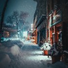 Snowy stone cottage with red door in twilight snowfall surrounded by trees and birds