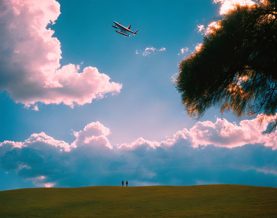 People on grassy hill under sky with biplane and tree canopy