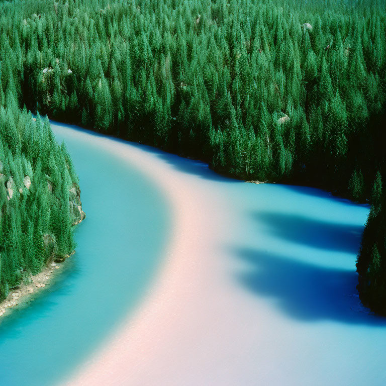 Turquoise River Winds Through Dense Evergreen Forest