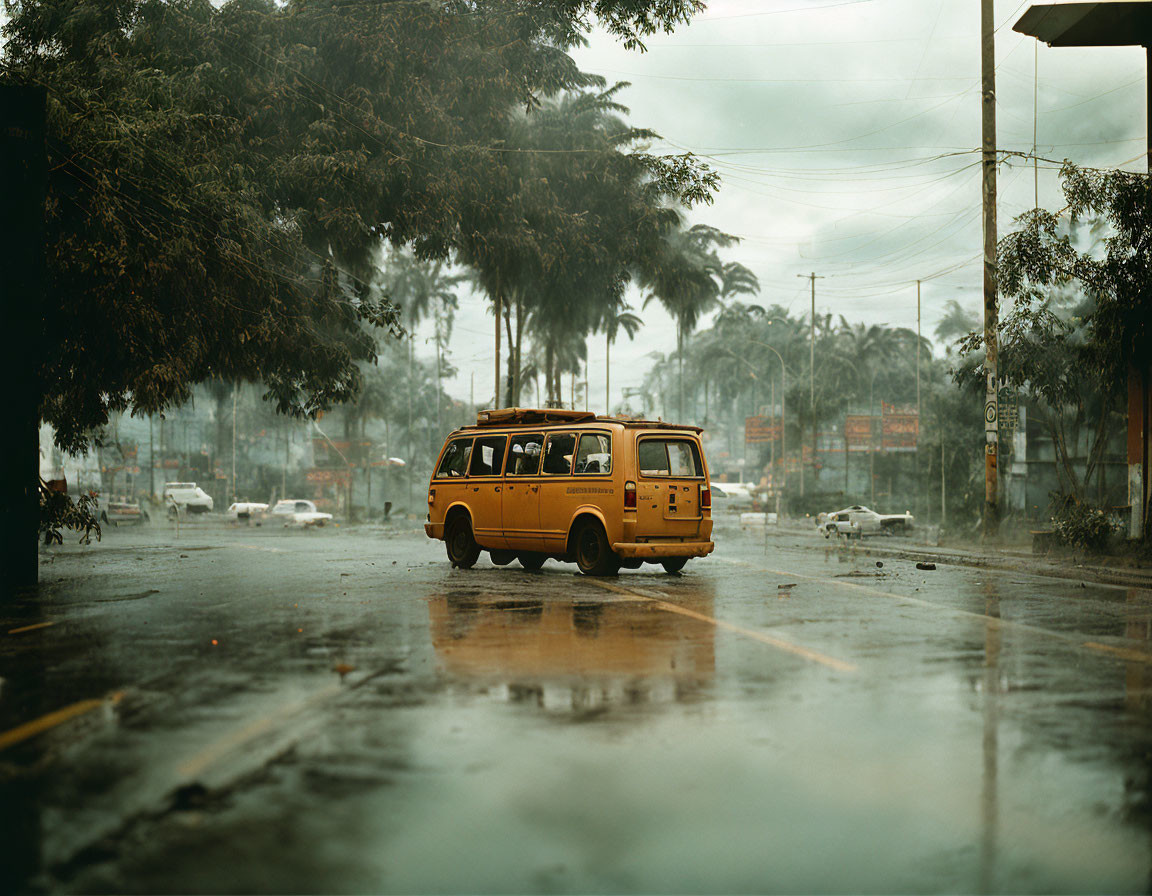 Yellow Bus on Rain-Soaked Street with Tropical Trees