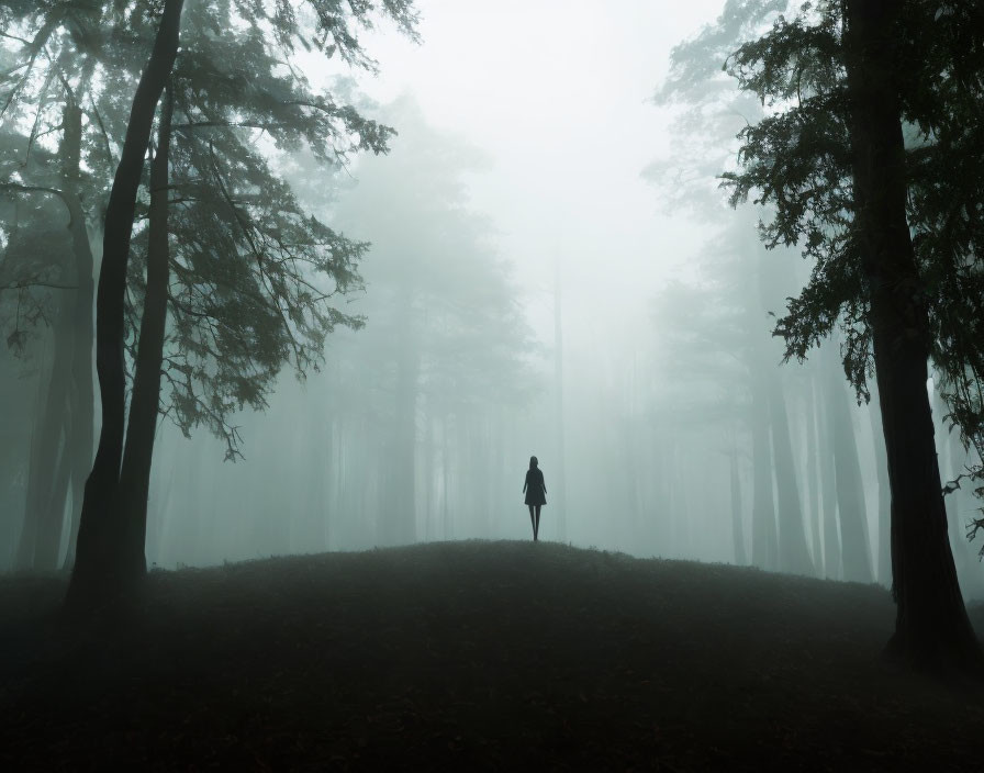 Mist-shrouded hill with solitary figure and towering trees