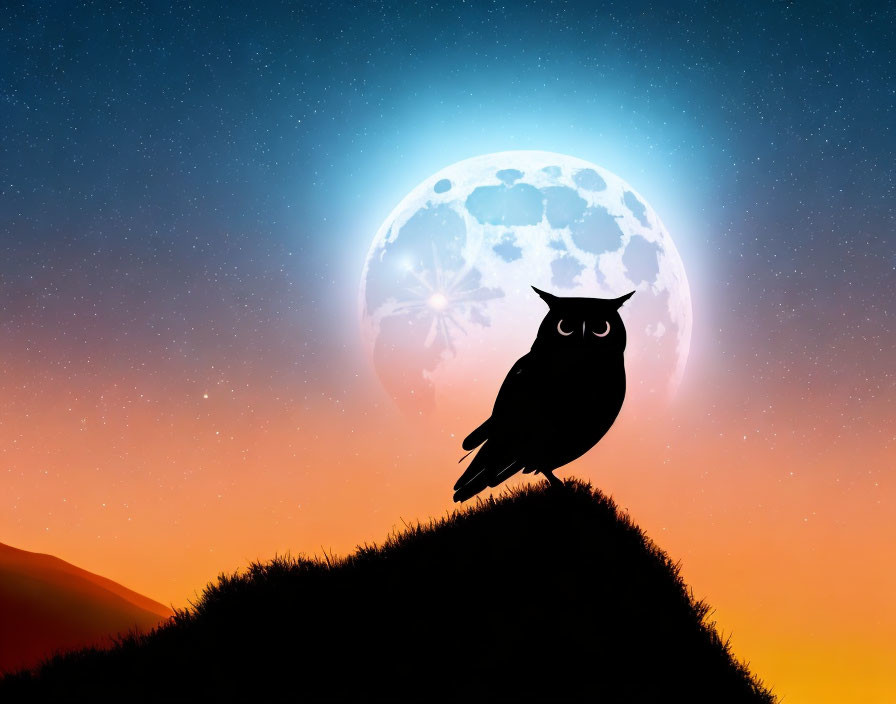 Detailed Owl Silhouette on Hill with Full Moon and Starry Sky