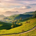 Fantastical landscape with topiary gardens and hedge mazes at dawn