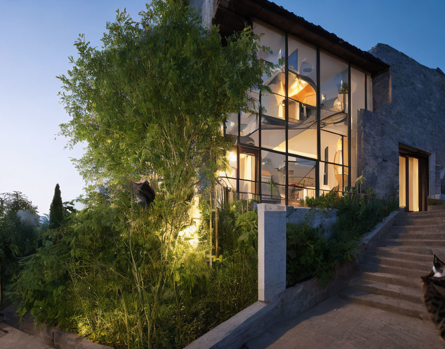 Modern house with large windows in lush green setting at dusk, cat walking on stone path.