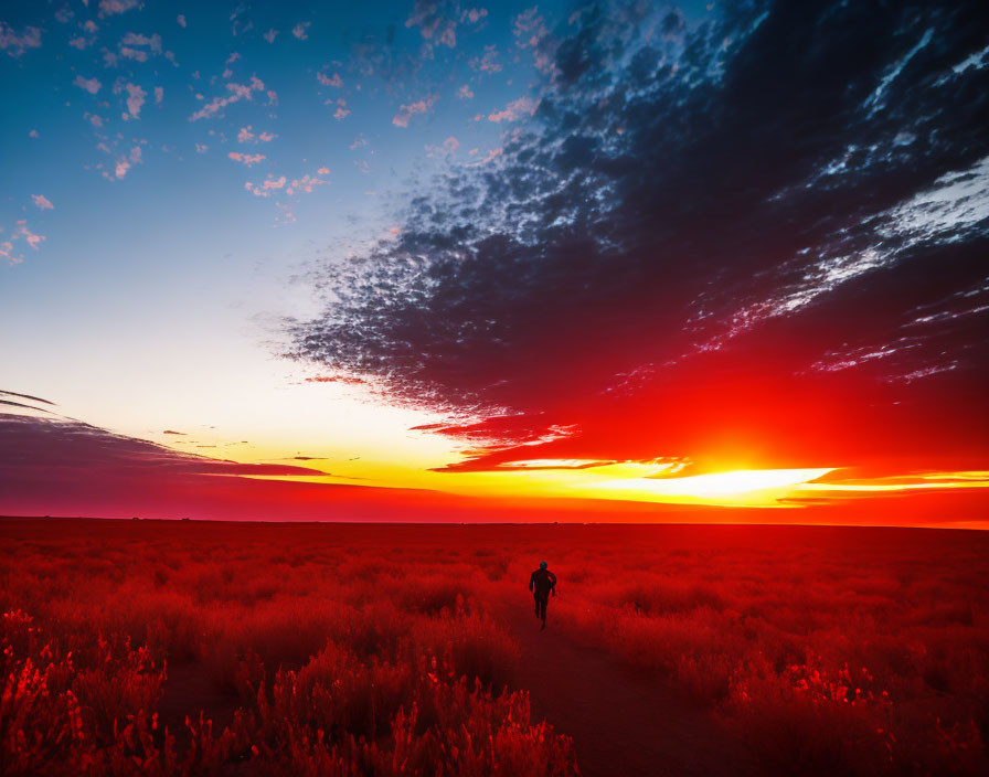 Silhouetted person against vibrant sunset with fiery red and orange hues blending into deep blue sky and