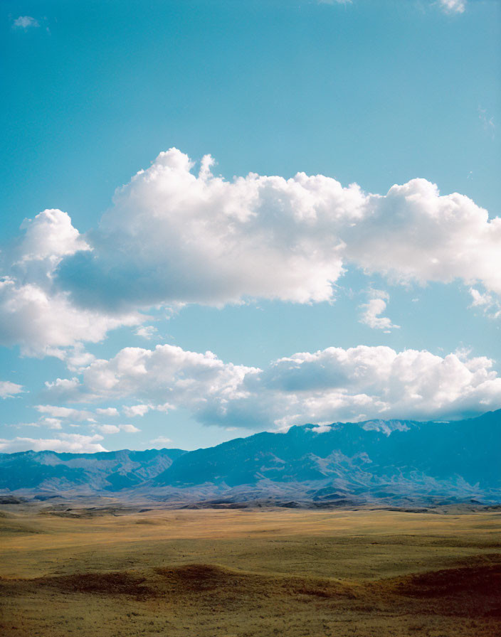 Vast rolling grasslands under a sky with cumulus clouds