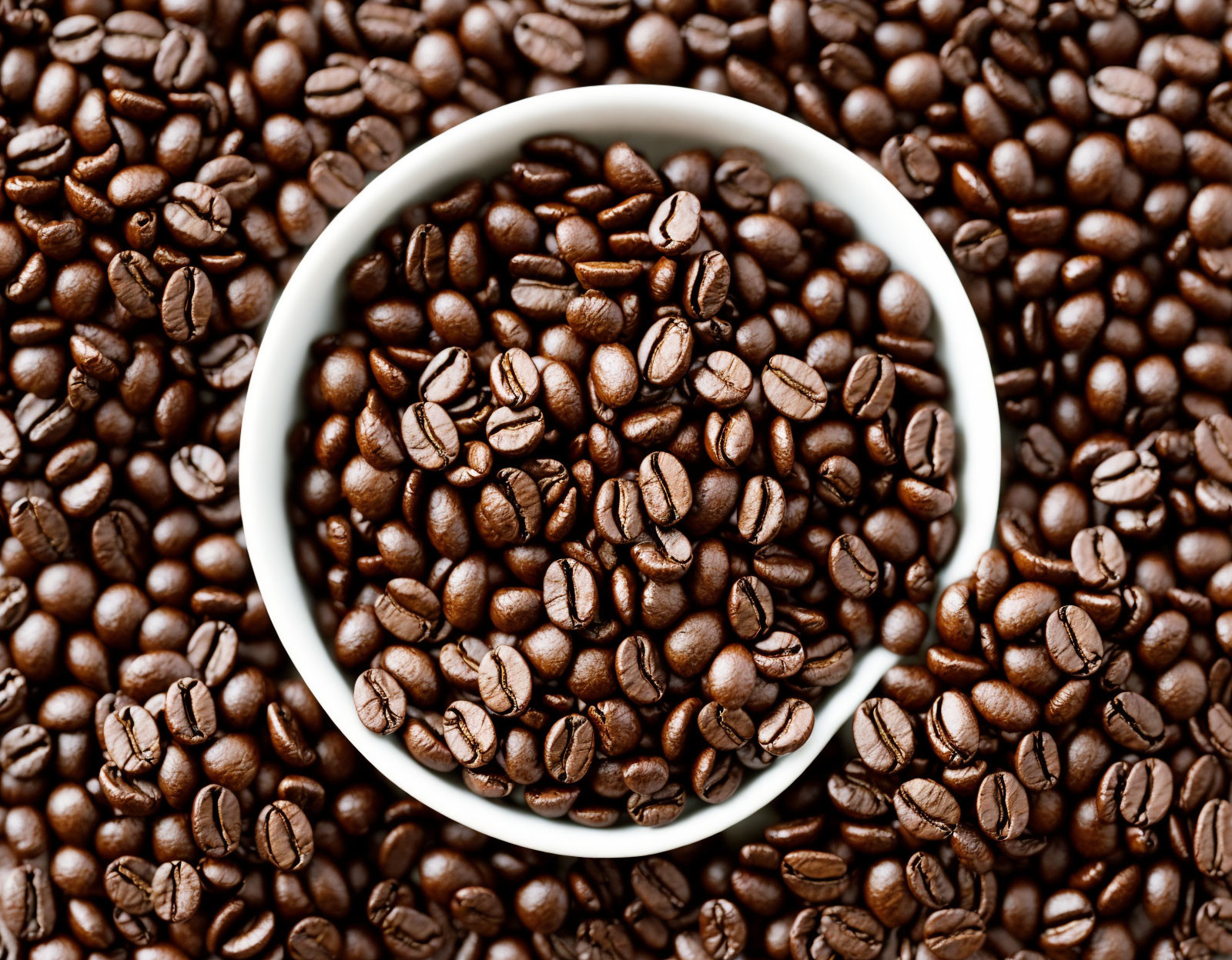 White Cup Overflowing with Roasted Coffee Beans on Flat Surface