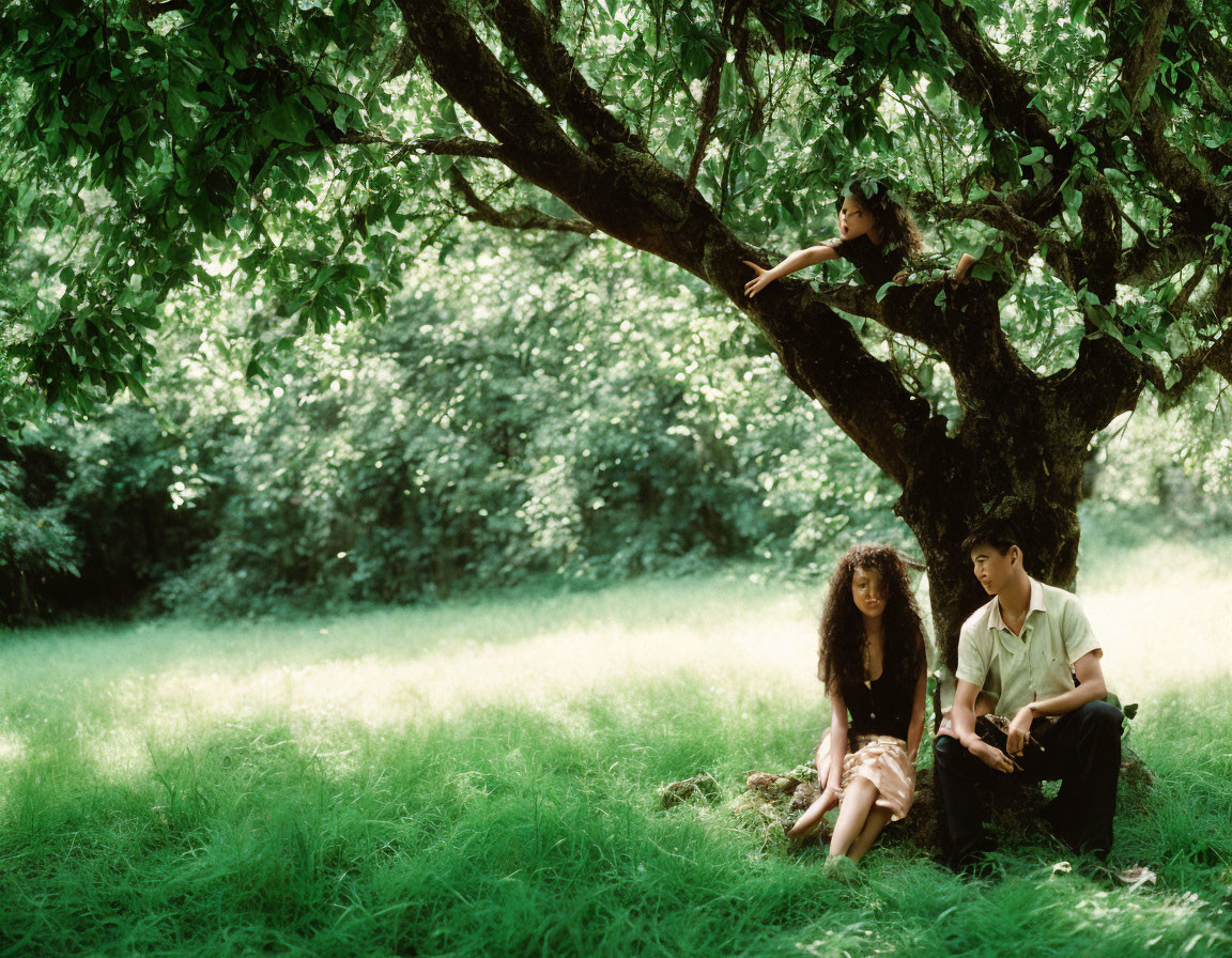 Two people under a lush tree, one sitting on the ground and one lying on a branch in a