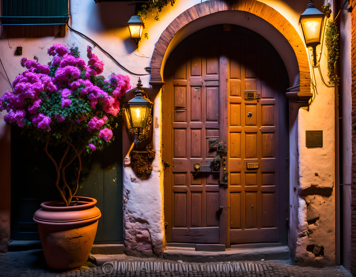 Vintage wooden door and blooming flowers in charming alley at dusk