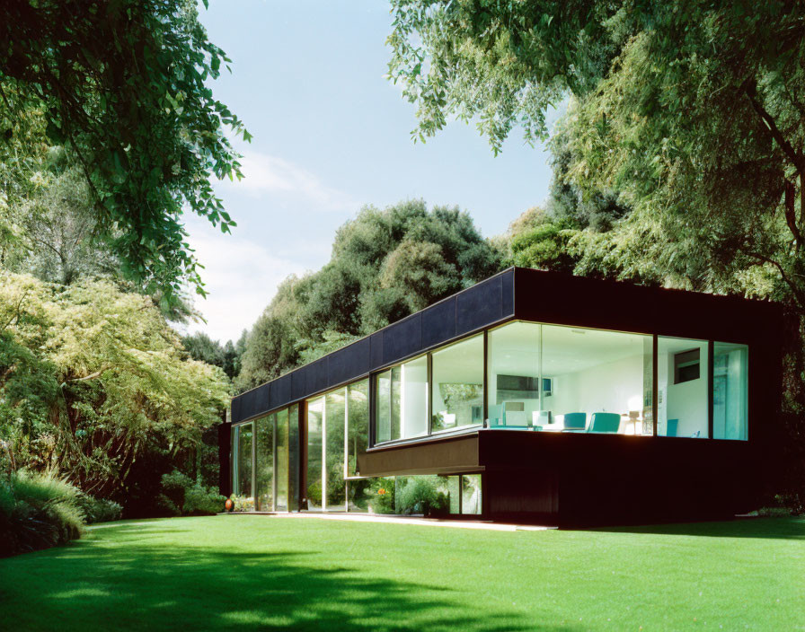 Glass-Walled House with Flat Roof in Greenery