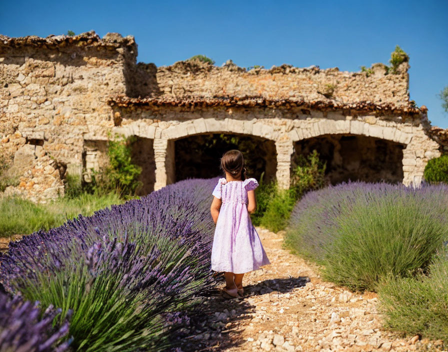 Young girl in pink dress amidst lavender fields and stone archway